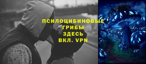 MDMA Алексеевка