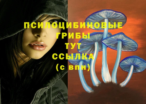 ALPHA PVP Абинск