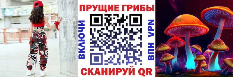 Псилоцибиновые грибы мухоморы  что такое   Тобольск 